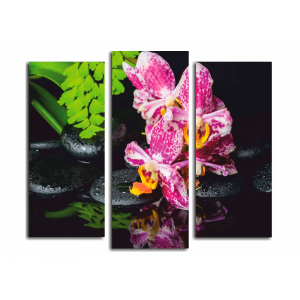 Модульная картина Спа, орхидеи