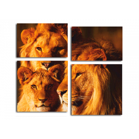 Модульная картина Семья львов
