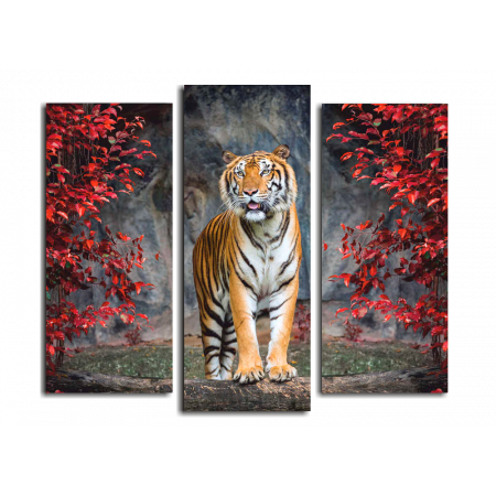 Модульная картина Тигр во всей красе